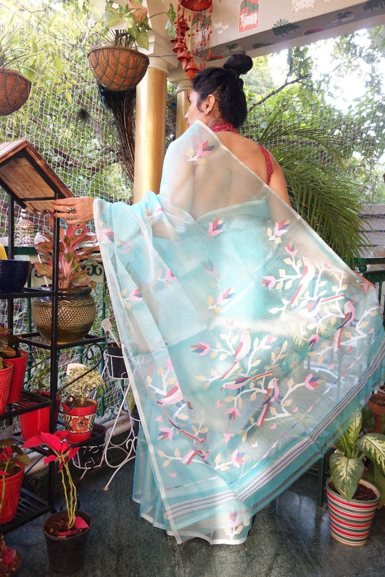 Threads of Nobility: The Forgotten Aristocratic Heritage of Muslin Silk Sarees