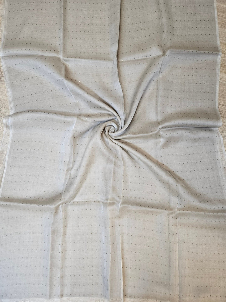 Light Grey Muslin Silk Saree with Self Stripes & Sequins Woven Design Balaram Saha