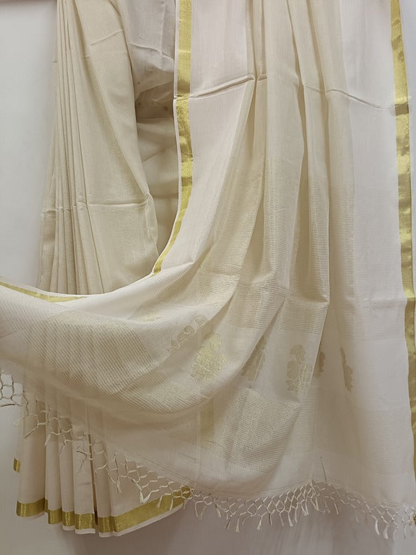 White and Gold Handloom Cotton Saree with Gold Tissue Woven by Balaram Saha - (cotton saree, handloom cotton saree, balaram saha online, handloom sarees, cotton handloom saree, bengal handloom sarees, pure cotton, cotton saree for women, cotton saree online)