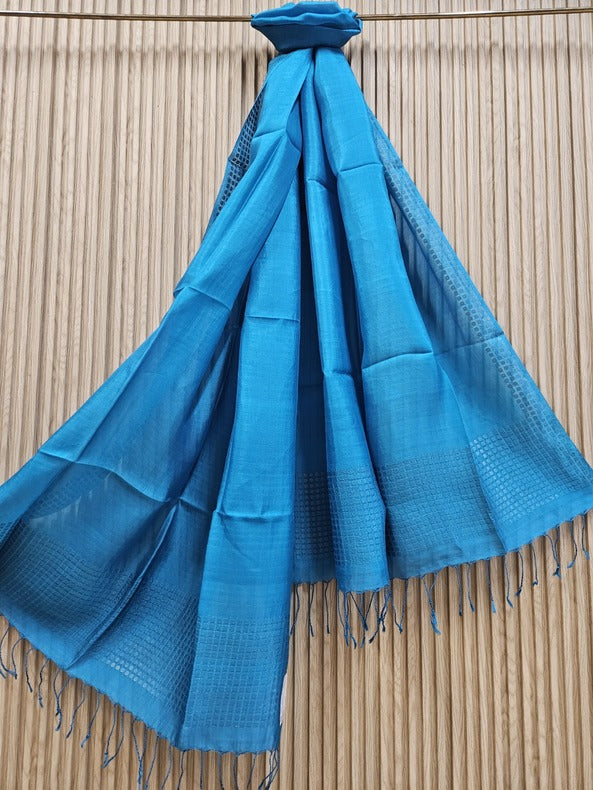 Blue Premium Handloom Katan Silk Dupatta With Sequin Waeve Balaram Saha